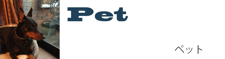 ペット　Pet